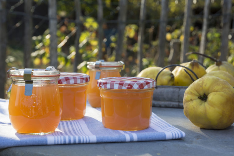 Quittengelee - einfach zubereitet schmeckt es am köstlichsten!