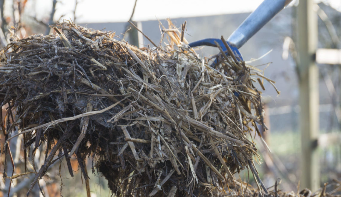 Phanologischer Gartenkalender Archive Gern Im Garten